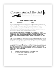 Dental Consent Form PDF