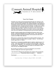 Feline Neuter Form